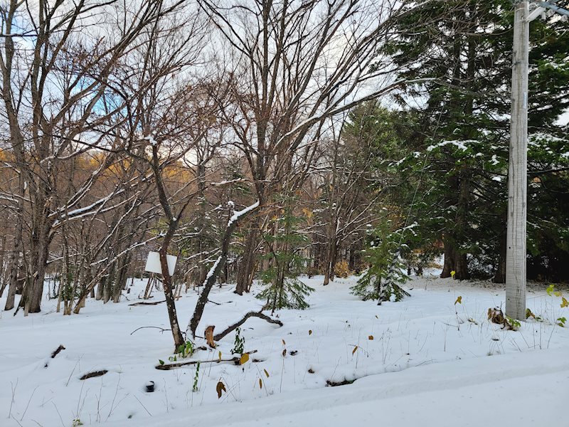 網走市呼人６２番４０　土地 現地写真
