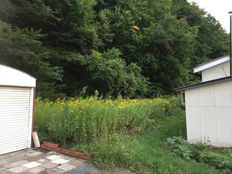 川東３９７番１２　土地 現地写真