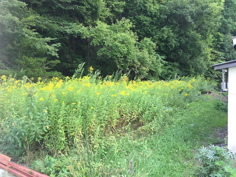 川東３９７番１２　土地 現地写真