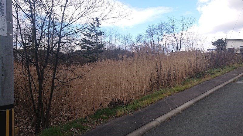 美山町南１０丁目３７番　土地 現地写真