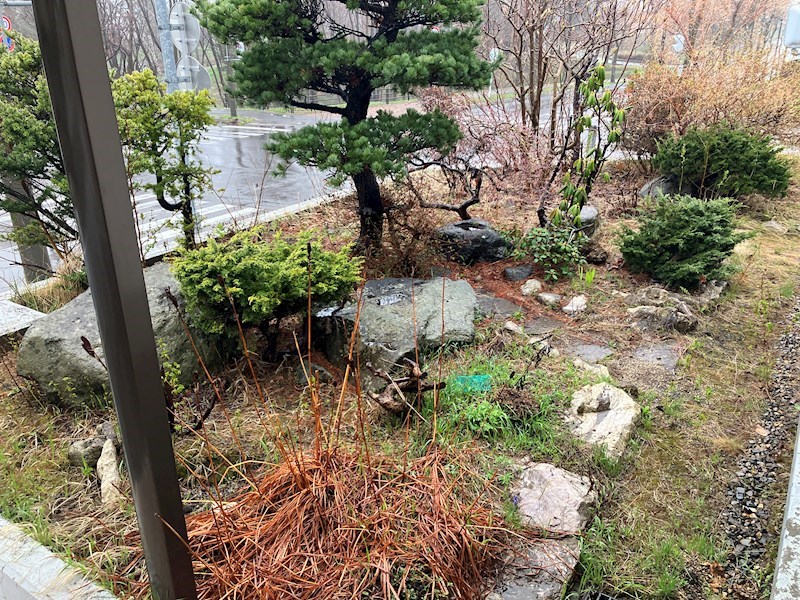 網走市駒場南３丁目４７番　戸建て 現地写真（庭）