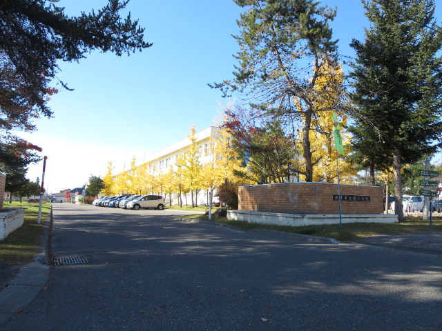 桂町３丁目１６０番　土地 小学校