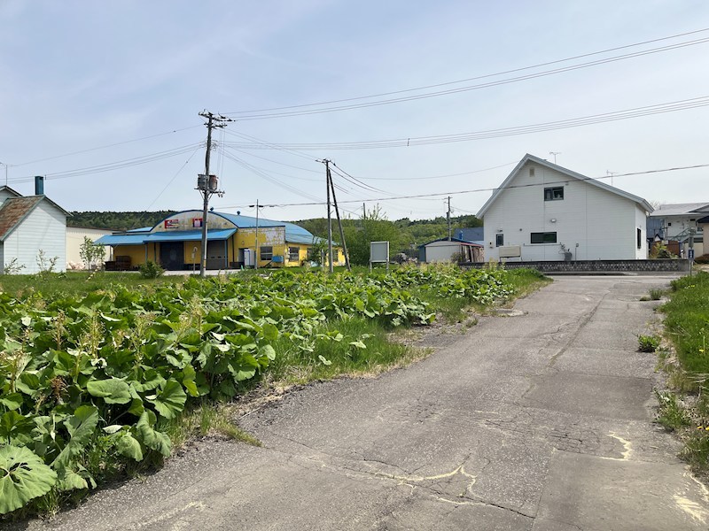 留辺蘂町元町６９番　土地 現地写真（前面道路含む現地写真）