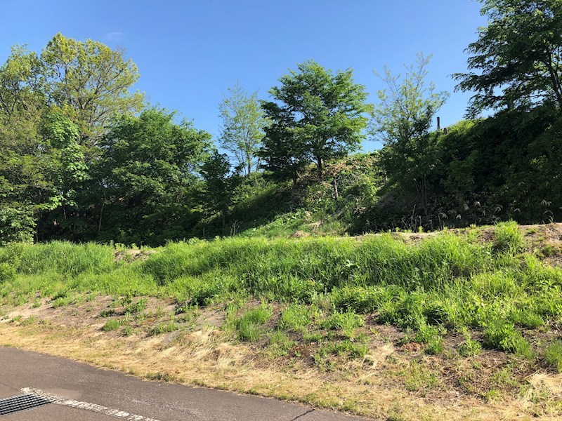 美幌町字稲美５２番５０　土地 現地写真
