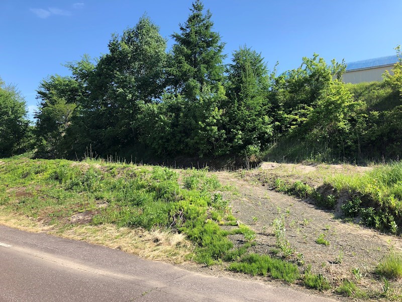 美幌町字稲美５２番４９　土地 現地写真
