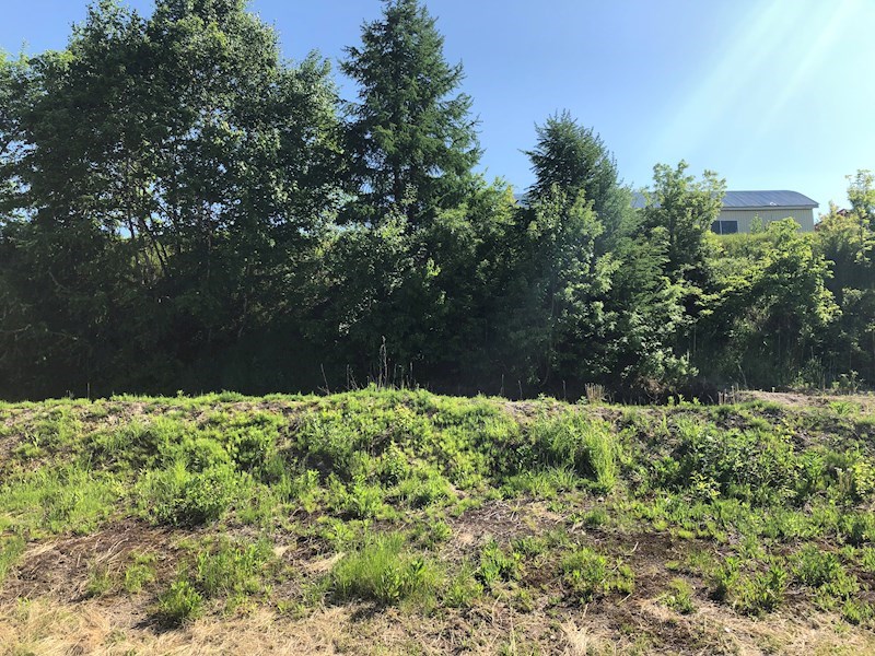 美幌町字稲美５２番４９　土地 現地写真