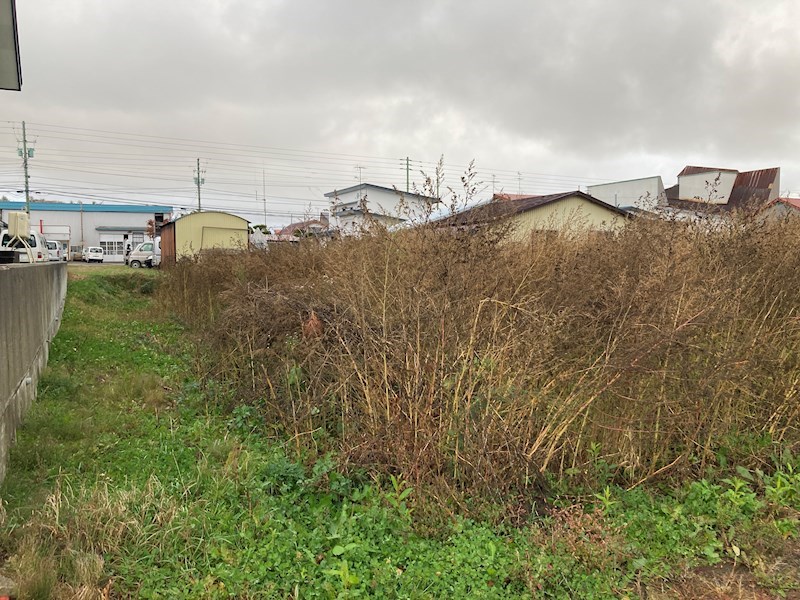 小清水町南町１丁目７７３番　土地 現地写真