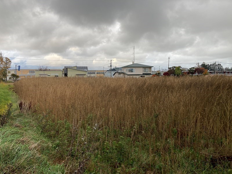 小清水町南町１丁目７７３番　土地 現地写真