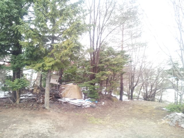 美幌町字東四条南２丁目１６番　土地 現地写真