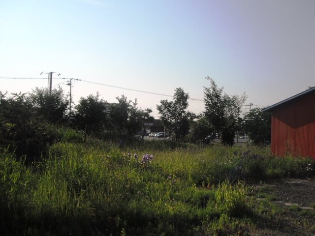 美幌町字三橋南8番 土地 現地写真