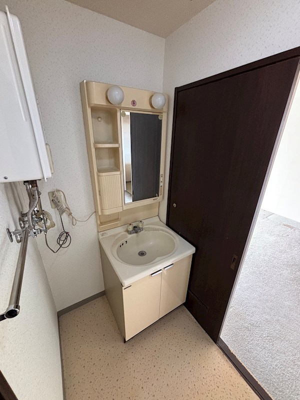ロジェ山下通 内観写真（洗面台・洗面所）