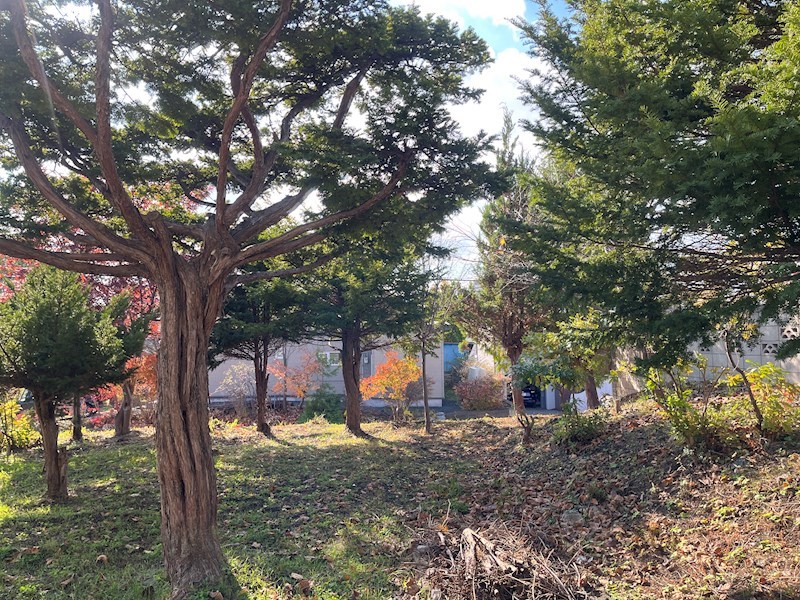 北３条東６丁目２番　戸建て 現地写真