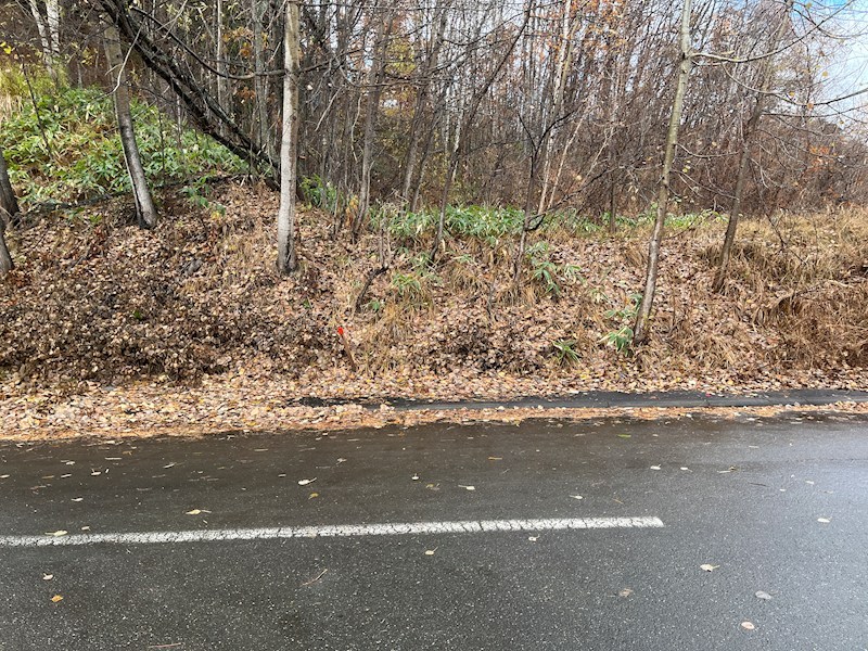 美山町東３丁目７０番　土地 現地写真