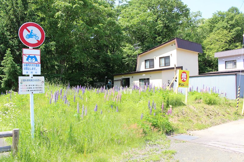 美幌町字東4条南5丁目11番 土地 現地写真