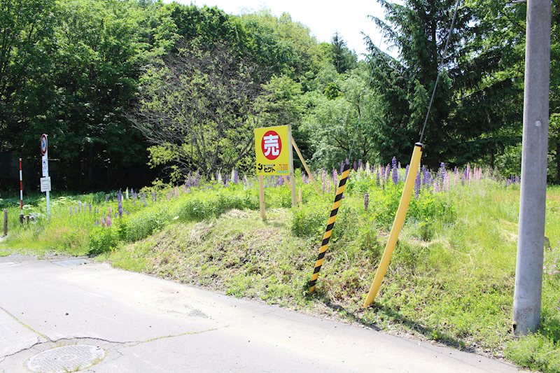 美幌町字東４条南５丁目１１番　土地 現地写真