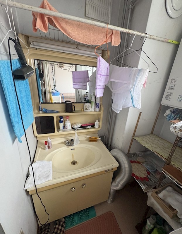 美山町南2丁目9番　戸建て 内観写真（洗面台・洗面所）