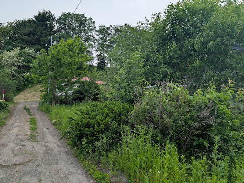美幌町字東４条南４丁目１７番　土地 現地写真