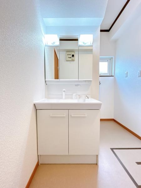 中ノ島町３丁目５番　戸建て 内観写真（洗面台・洗面所）