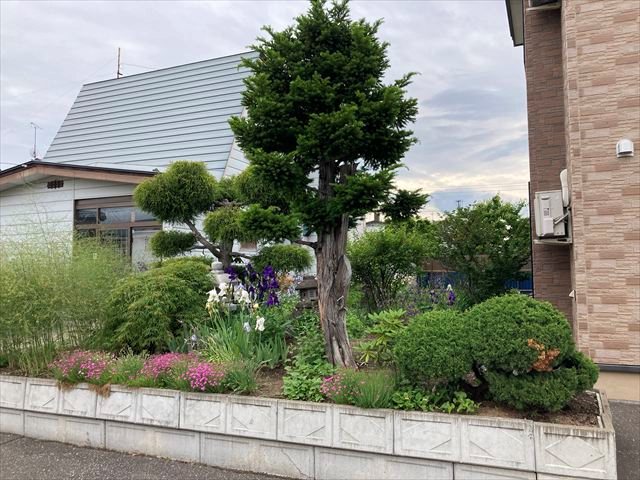 朝日町４８番　戸建て 現地写真