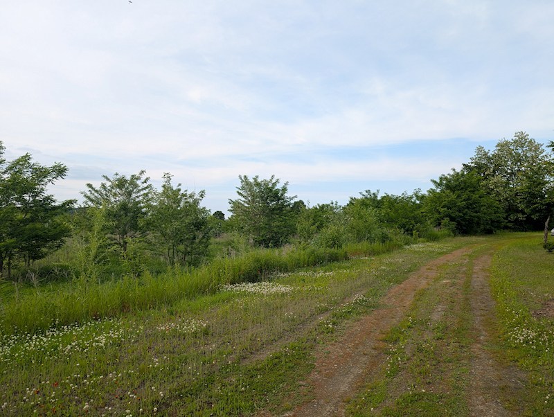 美幌町字元町５０番　土地 現地写真