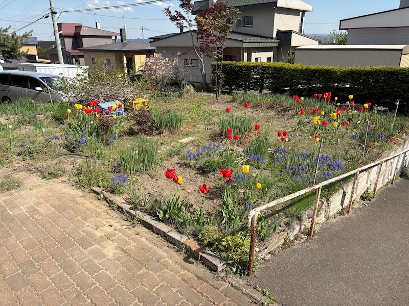 緑ヶ丘３丁目４２番　戸建て その他