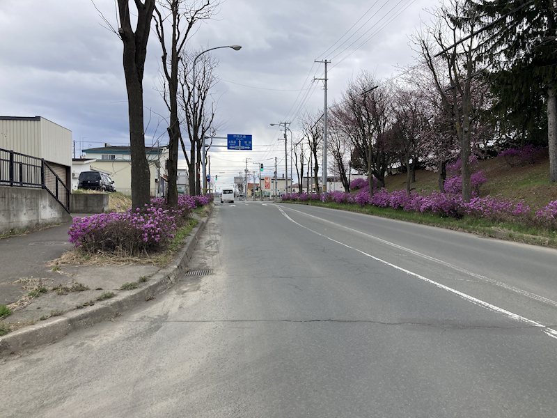 東陵町１０番　戸建て 現地写真（前面道路含む現地写真）