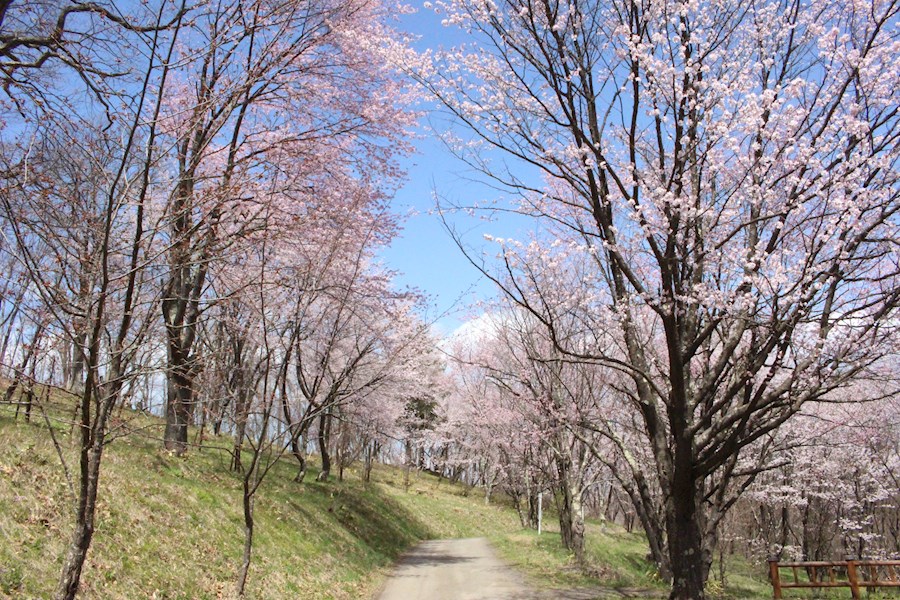 上ところ７８番　戸建て 公園