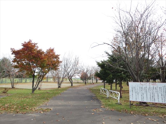 豊地１０３番　戸建て 公園