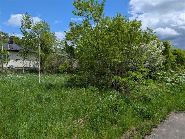 網走市鱒浦4丁目79番 土地 現地写真
