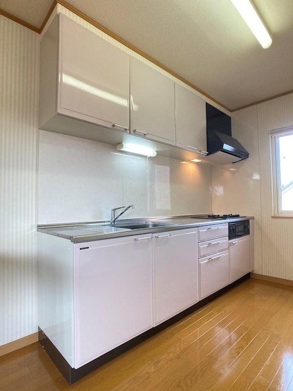 泉町４丁目１６７番　戸建て 内観写真（キッチン）