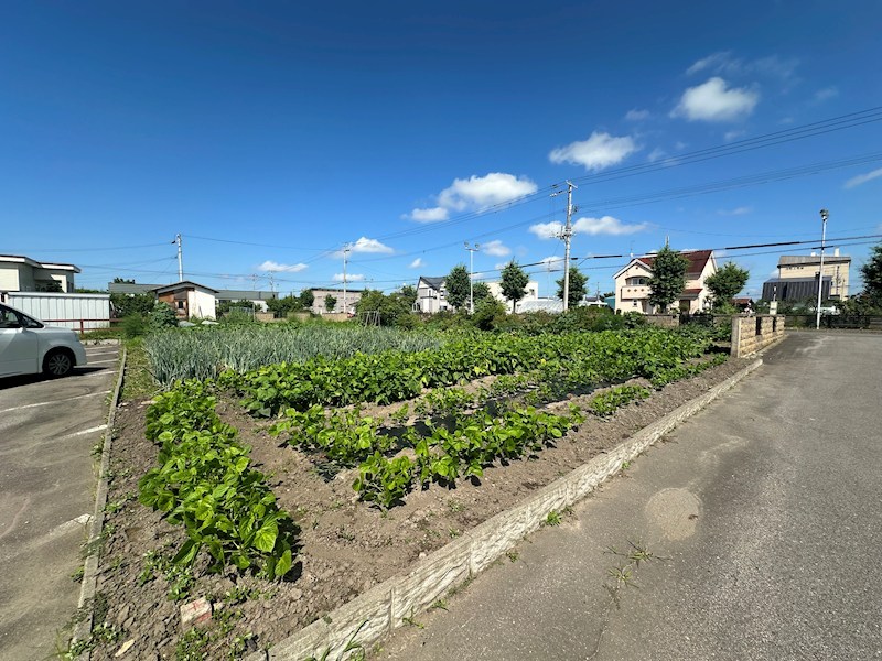 美幌町字鳥里２丁目５番　土地 現地写真