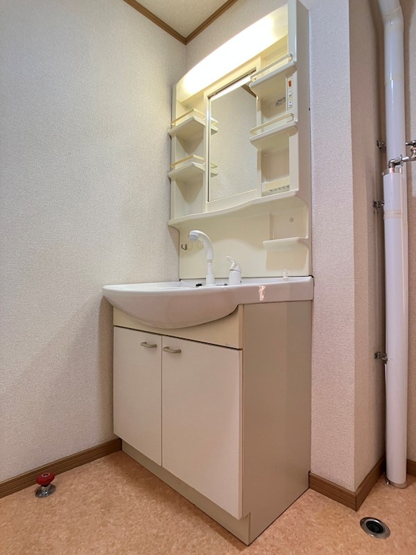 北進町４丁目２５６番　共同住宅 内観写真（洗面台・洗面所）