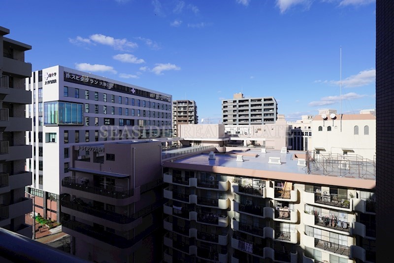 コスモ大手門 902号室 その他