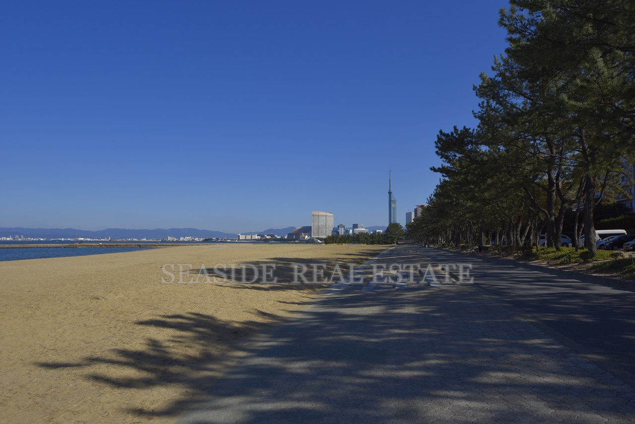 マリナタウン海浜公園 西福岡マリナタウンイーストコート8号棟 周辺画像2