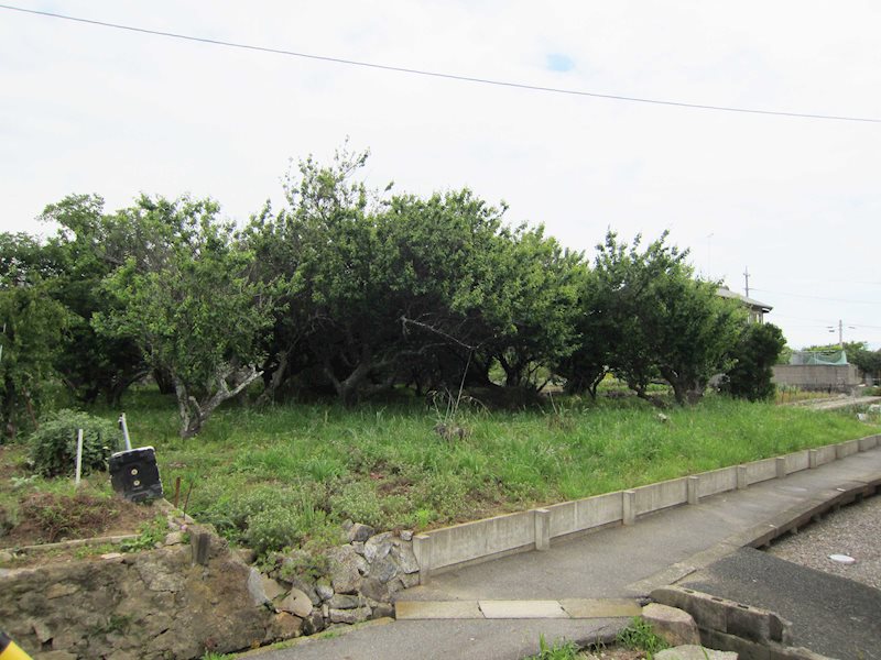 愛知県蒲郡市形原町南市場34番 現地写真