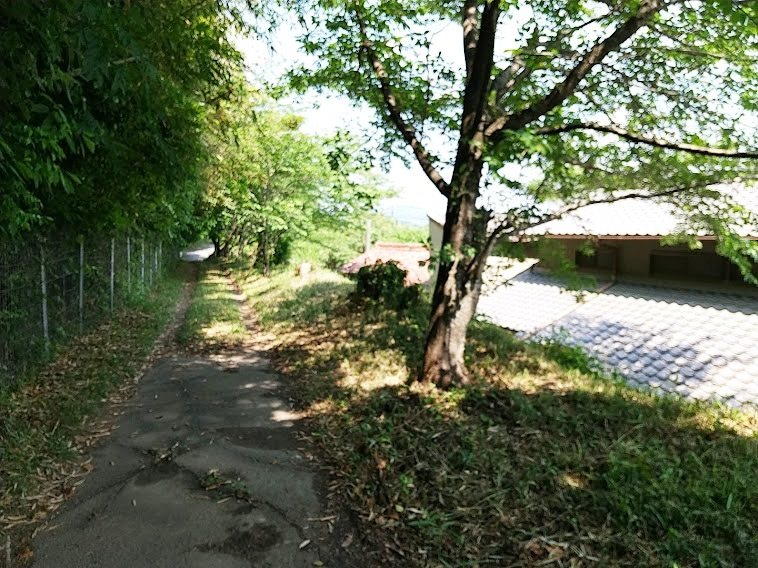 愛知県蒲郡市西迫町馬乗15番地 現地写真
