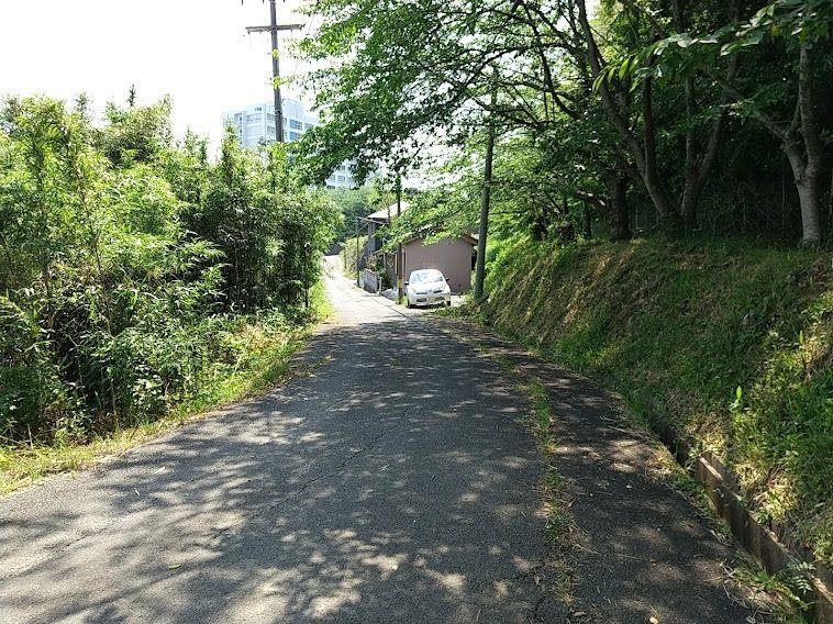 愛知県蒲郡市西迫町馬乗15番地 現地写真（前面道路含む現地写真）
