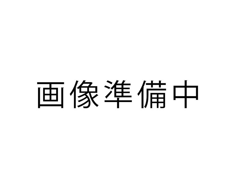 蒲郡第56形原町南双太山 その他
