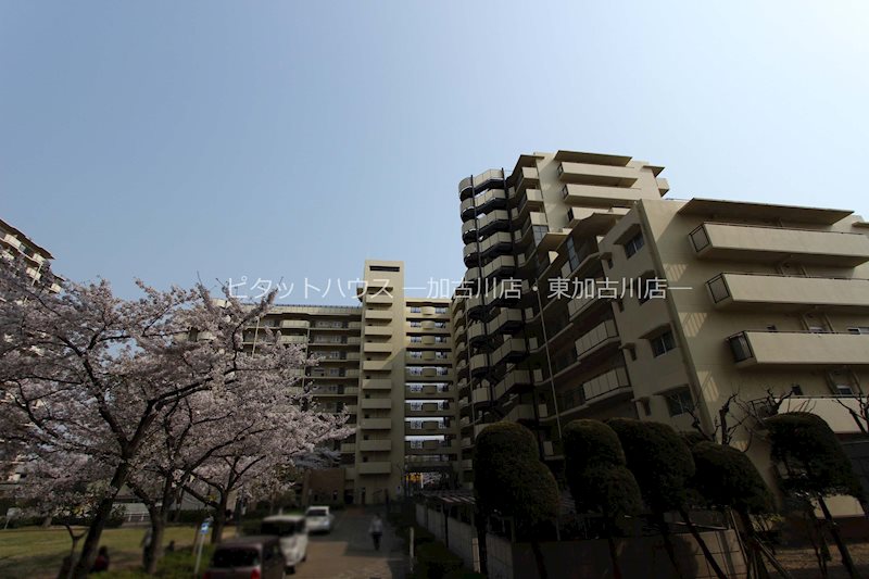 藤和東加古川ハイタウンD棟 外観写真