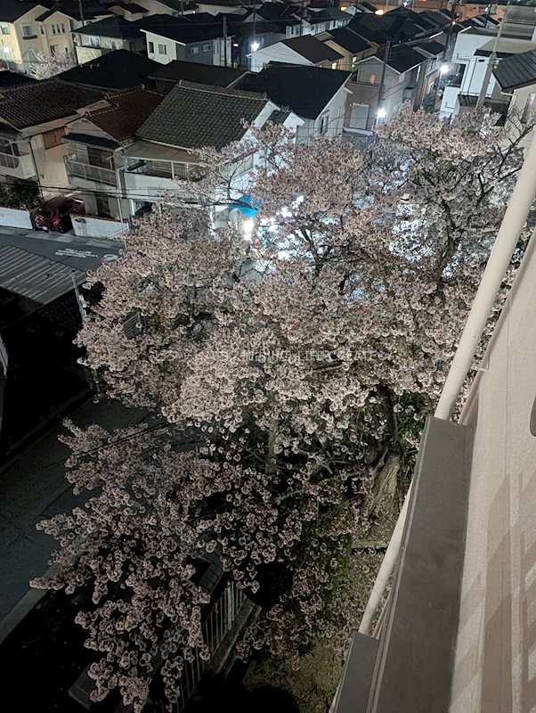上高丸南住宅  その他