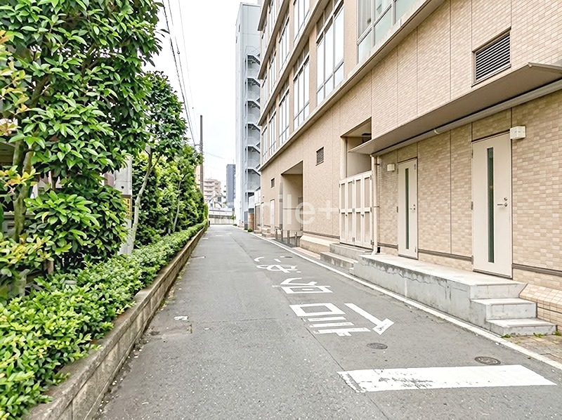アルファステイツ清心 その他
