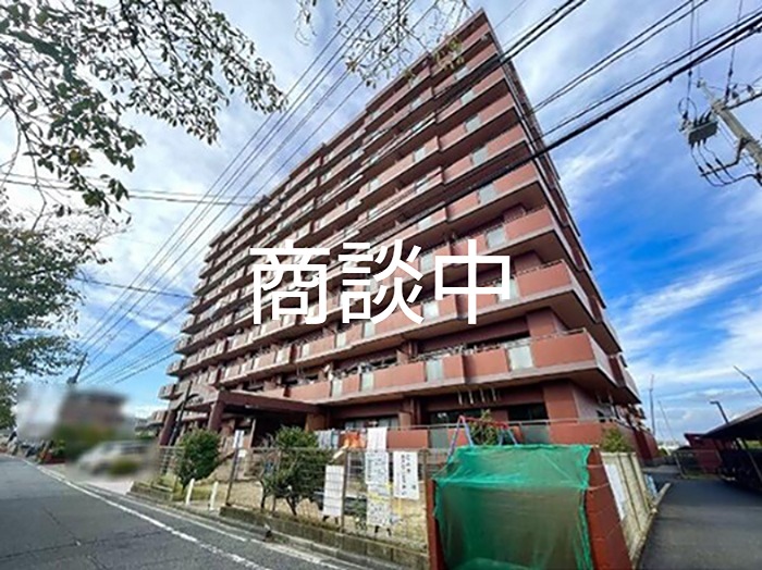 セザール岡南 現地写真