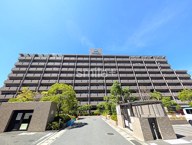 サーパス津高台通り一番館 共用部写真（駐車場）