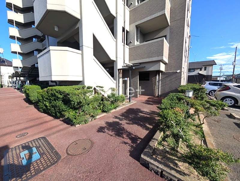 ダイアパレスパークサイド今 共用部写真（エントランス）