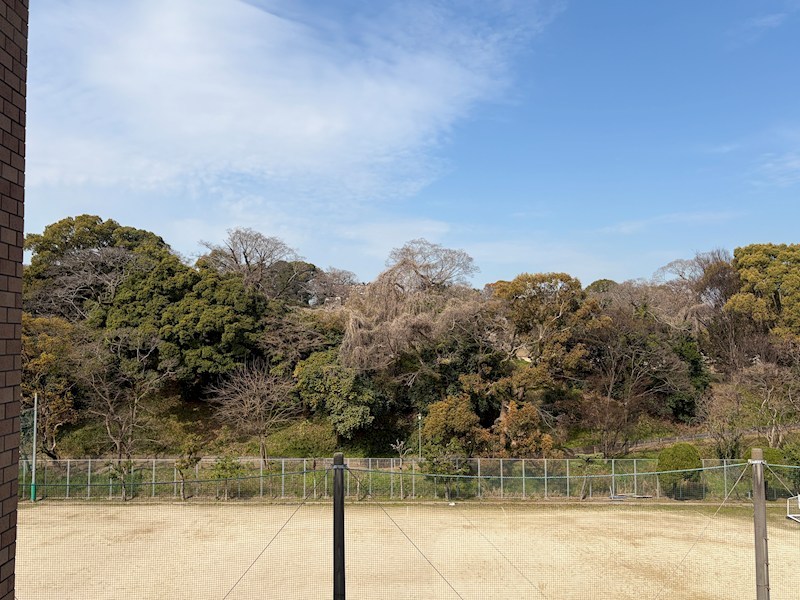 グランドメゾン赤坂弐番館 眺望写真
