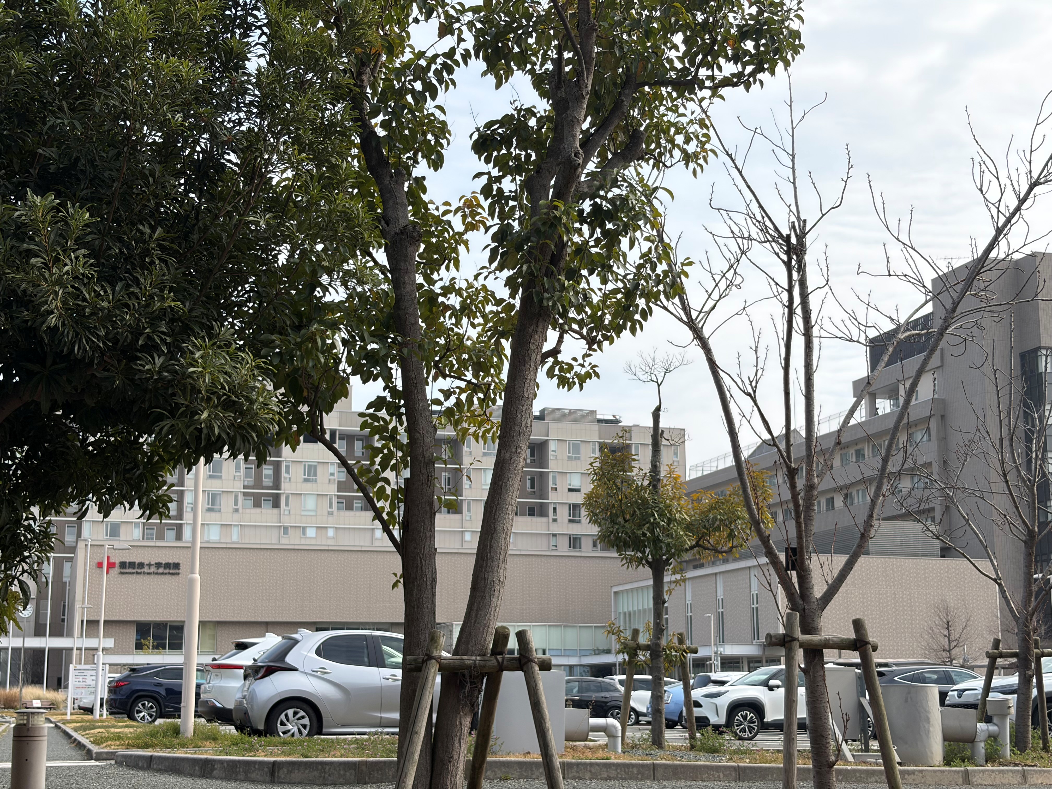 藤和シティコープ平尾駅前 総合病院
