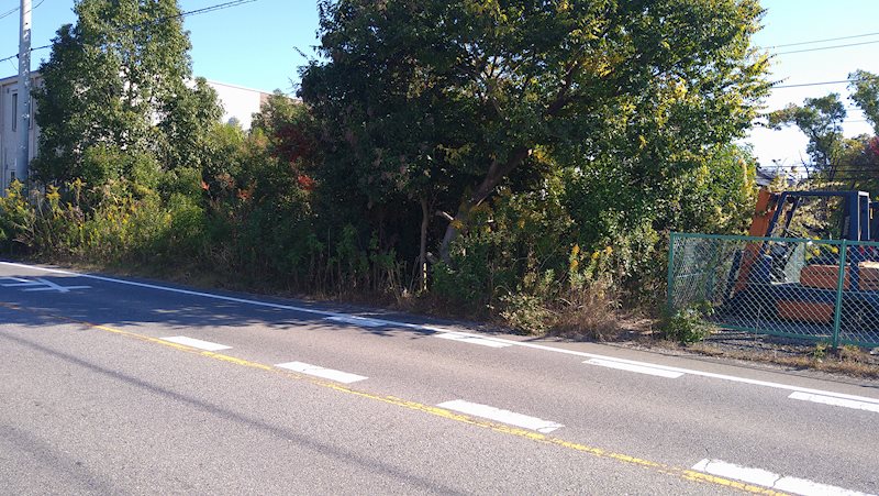 愛知県高浜市新田町三丁目6番15 現地写真