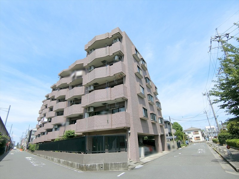 ドメス稲田堤 現地写真