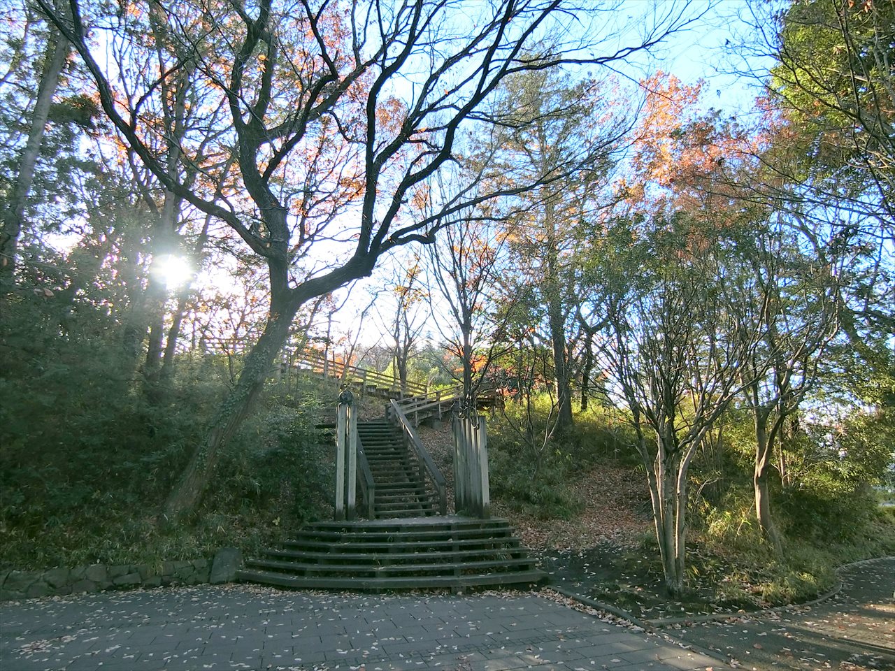 川崎市麻生区王禅寺東3丁目戸建 公園