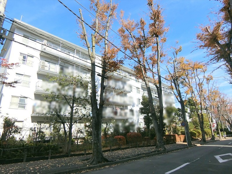 宮前平グリーンハイツ36号棟 現地写真